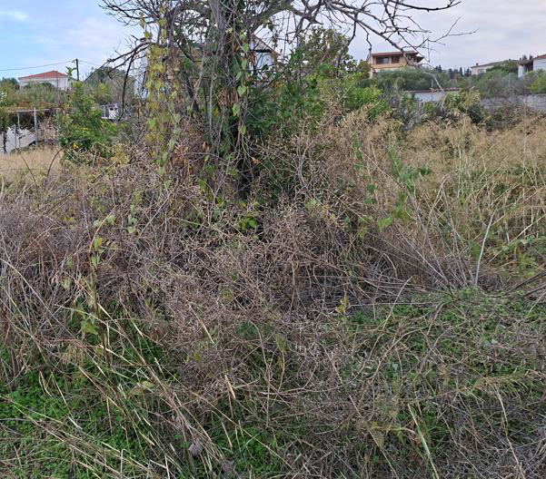 Οικόπεδο 891 τ.μ. σε πλειστηριασμό Δήμος Ξυλοκάστρου - Ευρωστίνης