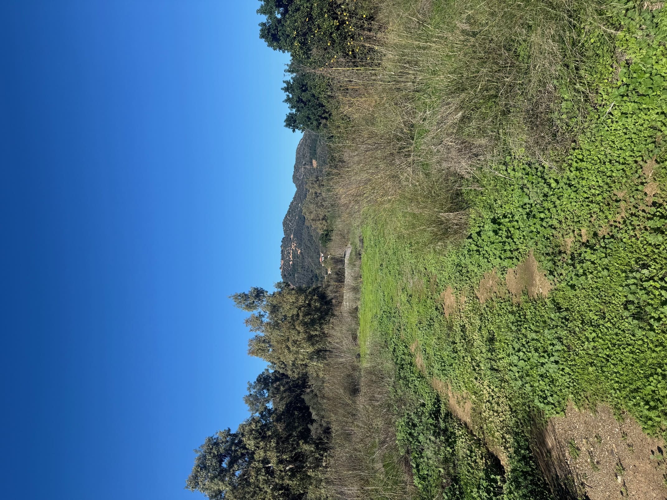 Αγροτεμάχιο  σε πλειστηριασμό Δήμος Πλατανιά