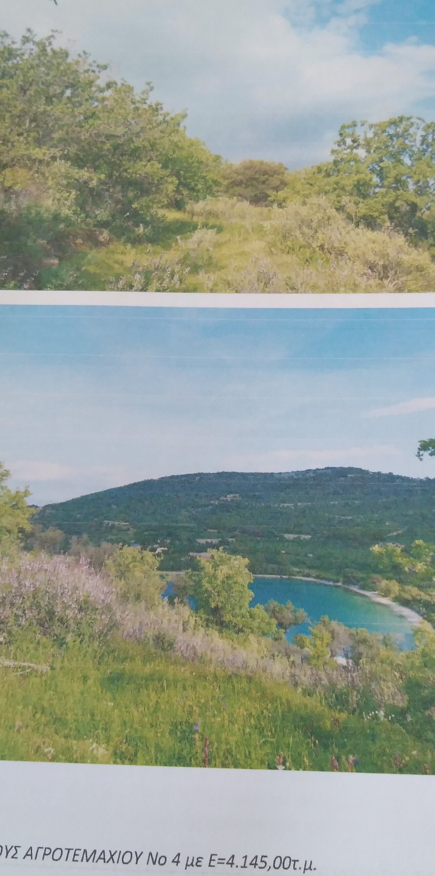 Αγροτεμάχιο 4145 sq.m. σε πλειστηριασμό Municipality of Kymi - Aliveri