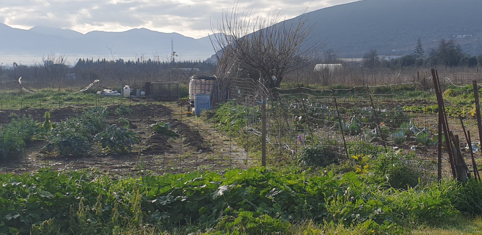 Οικόπεδο 254 τ.μ. σε πλειστηριασμό Δήμος Άκτιου - Βόνιτσας