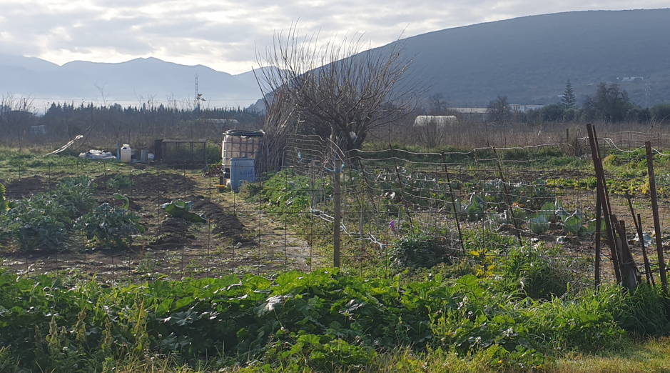 Οικόπεδο 500.81 τ.μ. σε πλειστηριασμό Δήμος Άκτιου - Βόνιτσας