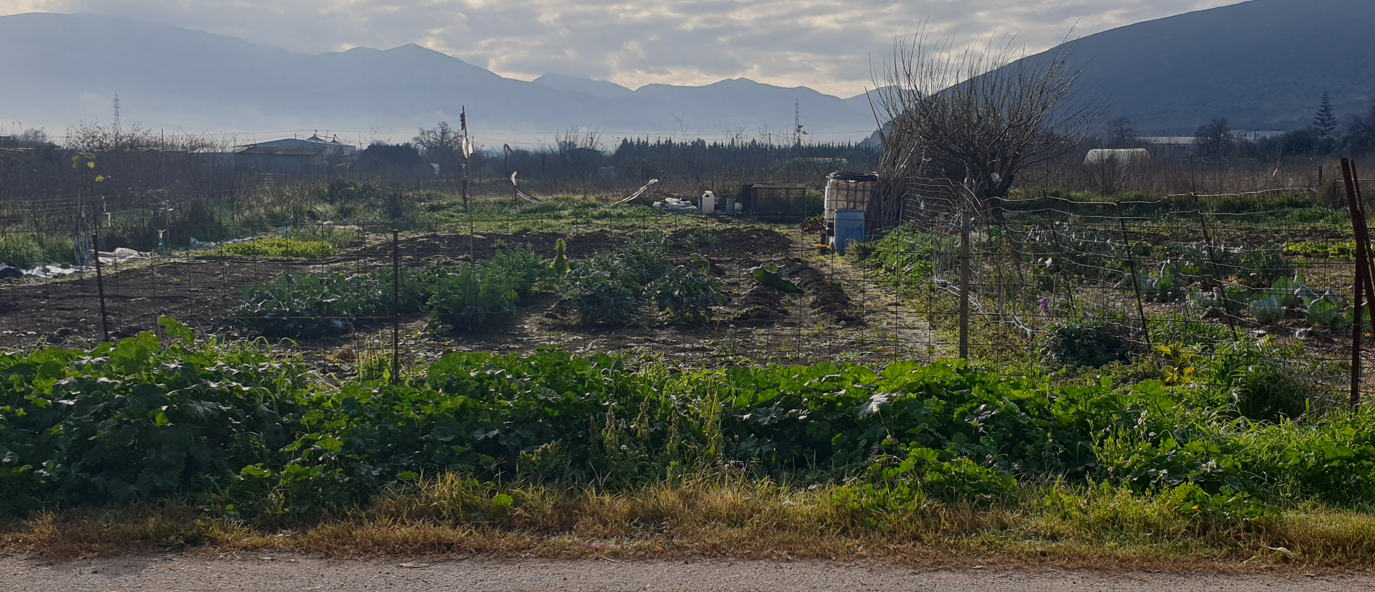 Οικόπεδο 244 τ.μ. σε πλειστηριασμό Δήμος Άκτιου - Βόνιτσας