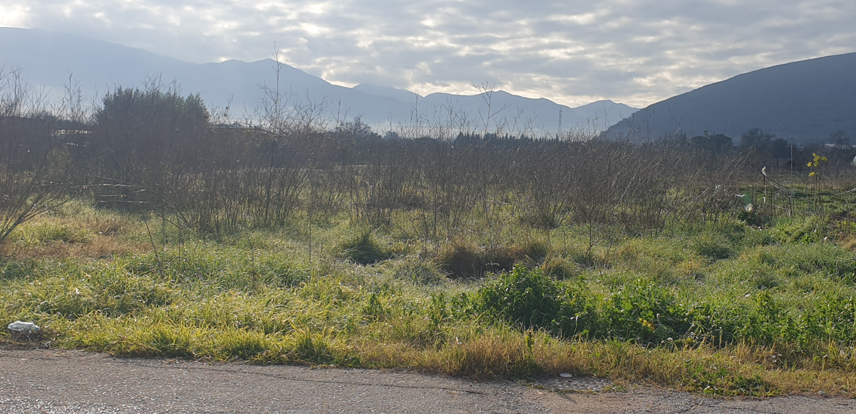 Οικόπεδο 529 τ.μ. σε πλειστηριασμό Δήμος Άκτιου - Βόνιτσας