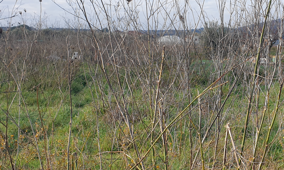 Οικόπεδο 501.10 τ.μ. σε πλειστηριασμό Δήμος Άκτιου - Βόνιτσας