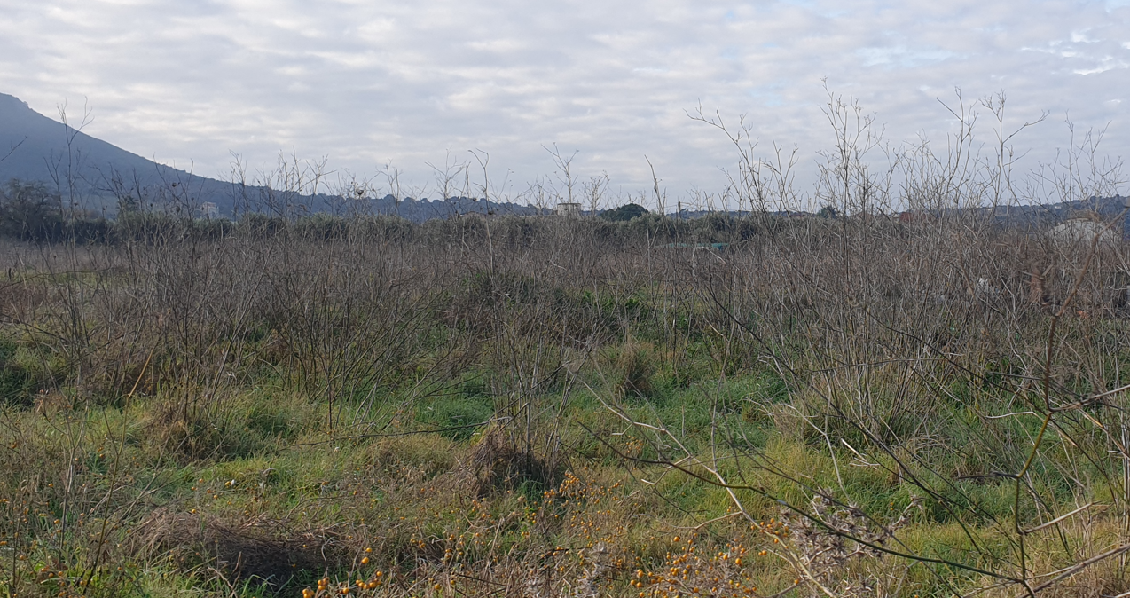 Οικόπεδο 506.71 τ.μ. σε πλειστηριασμό Δήμος Άκτιου - Βόνιτσας