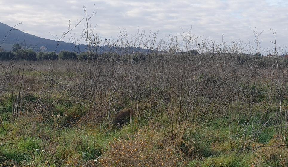 Οικόπεδο 503.98 τ.μ. σε πλειστηριασμό Δήμος Άκτιου - Βόνιτσας