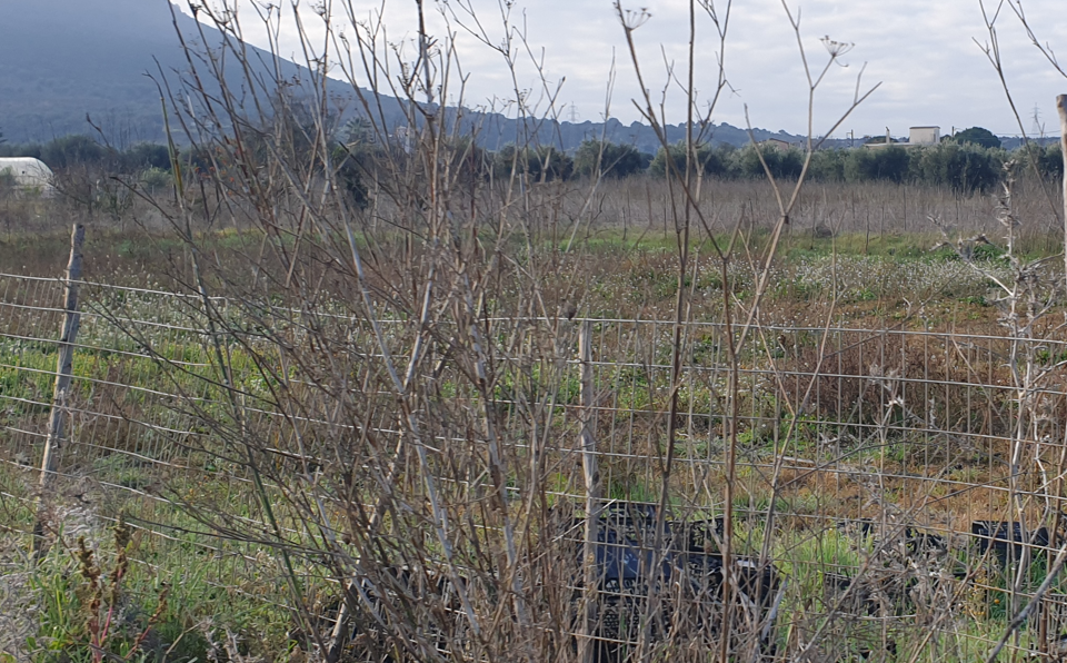 Οικόπεδο 399 τ.μ. σε πλειστηριασμό Δήμος Άκτιου - Βόνιτσας