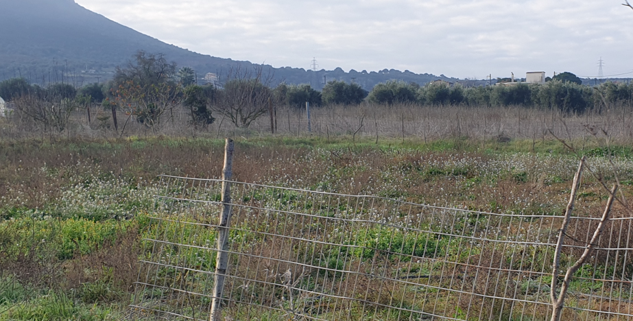 Οικόπεδο 500.50 τ.μ. σε πλειστηριασμό Δήμος Άκτιου - Βόνιτσας