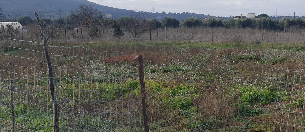 Οικόπεδο 504.45 τ.μ. σε πλειστηριασμό Δήμος Άκτιου - Βόνιτσας