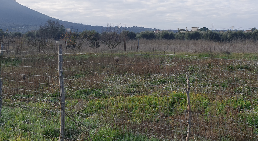 Οικόπεδο 504 τ.μ. σε πλειστηριασμό Δήμος Άκτιου - Βόνιτσας