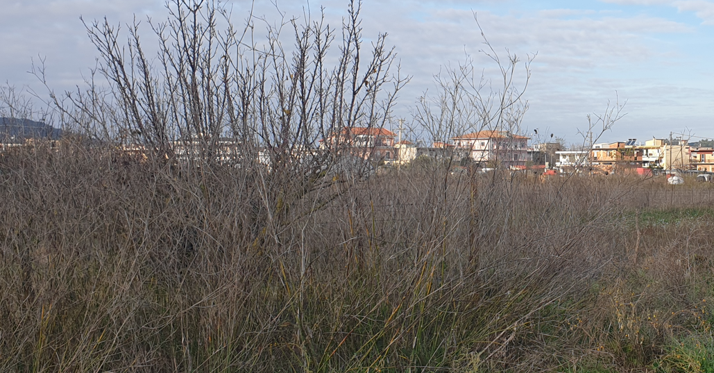 Οικόπεδο 504.45 τ.μ. σε πλειστηριασμό Δήμος Άκτιου - Βόνιτσας