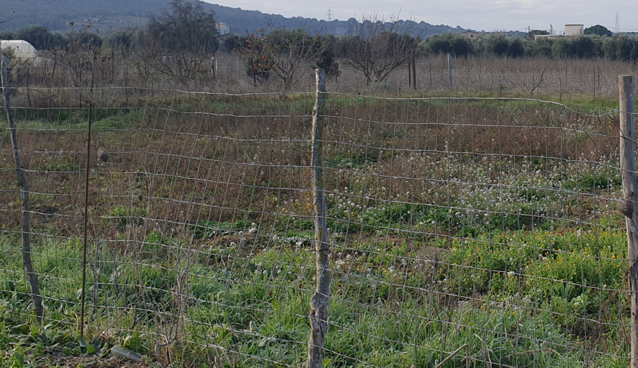 Οικόπεδο 727 τ.μ. σε πλειστηριασμό Δήμος Άκτιου - Βόνιτσας