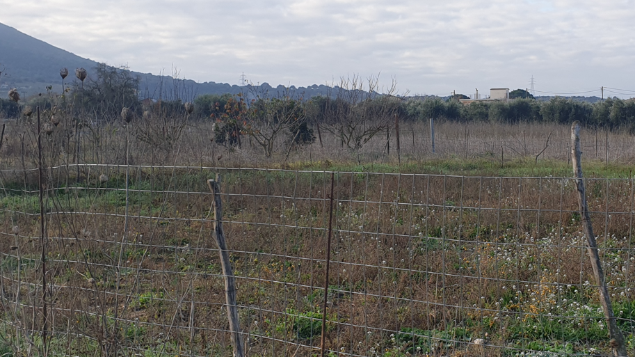 Οικόπεδο 685 τ.μ. σε πλειστηριασμό Δήμος Άκτιου - Βόνιτσας