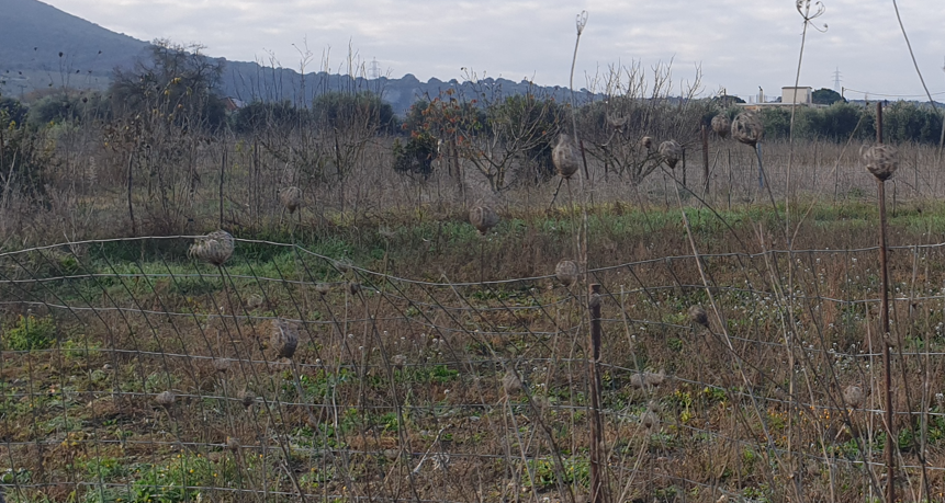 Οικόπεδο 565 τ.μ. σε πλειστηριασμό Δήμος Άκτιου - Βόνιτσας
