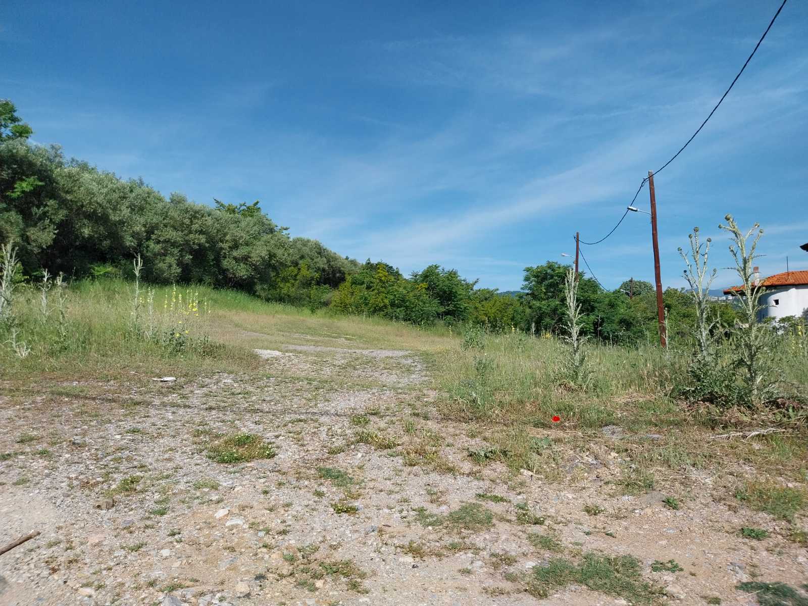 Οικόπεδο 735 τ.μ. σε πλειστηριασμό Δήμος Έδεσσας