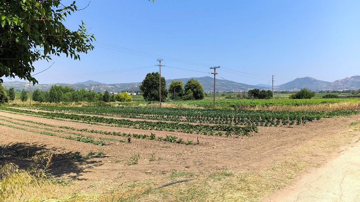 Οικόπεδο 4815.37 τ.μ. σε πλειστηριασμό Δήμος Νεμέας