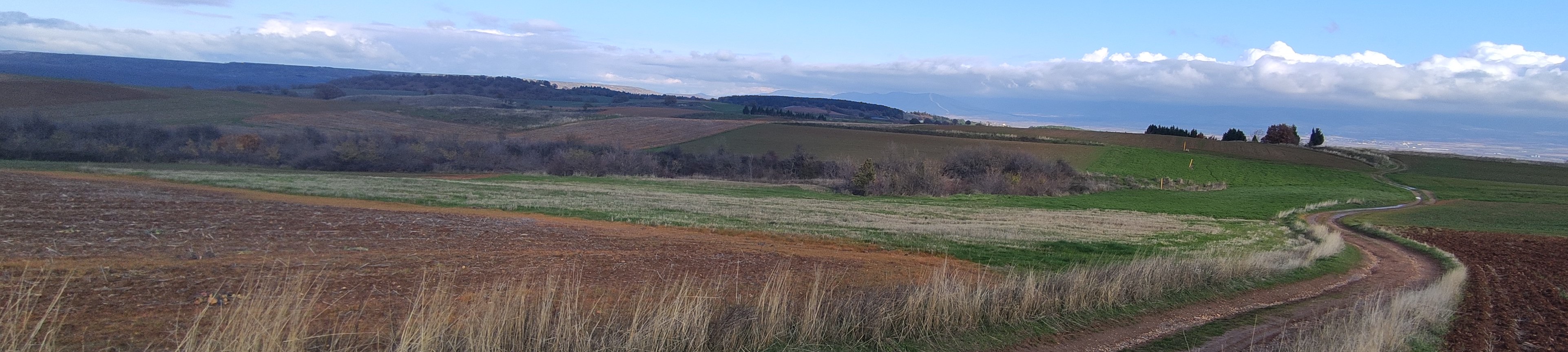 Αγροτεμάχιο 822 τ.μ. σε πλειστηριασμό Δήμος Εορδαίας
