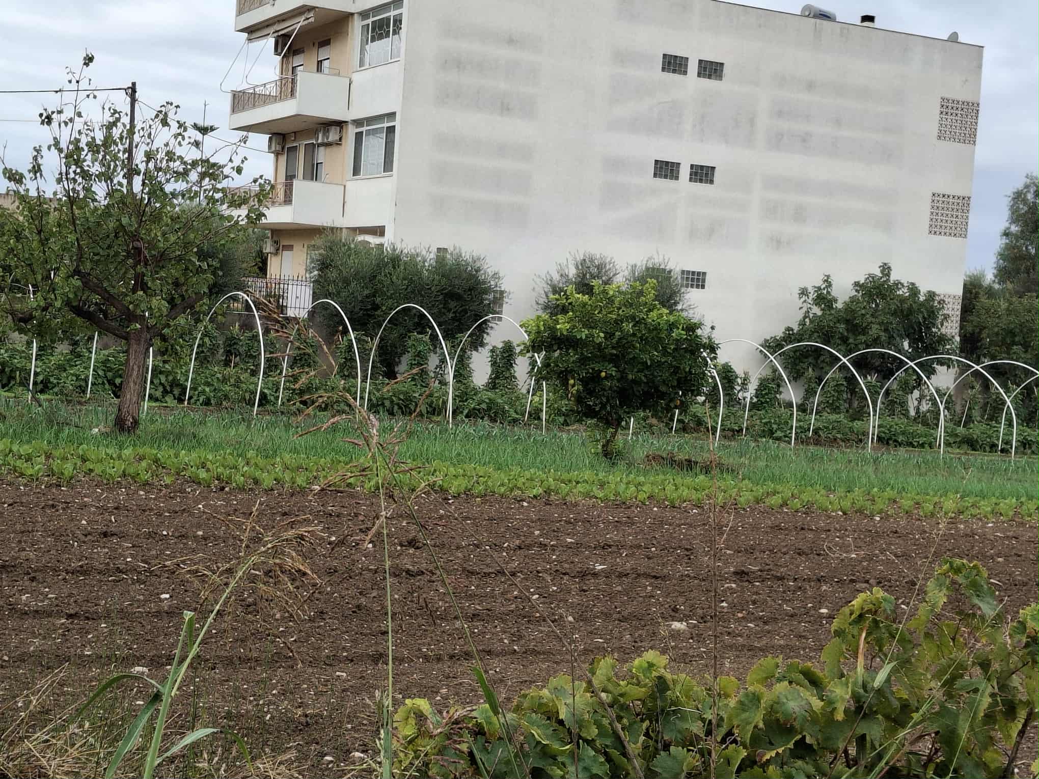 Οικόπεδο  σε πλειστηριασμό Municipality of Patreon