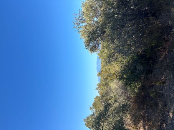 Αγροτεμάχιο  σε πλειστηριασμό Municipality of South Pelion