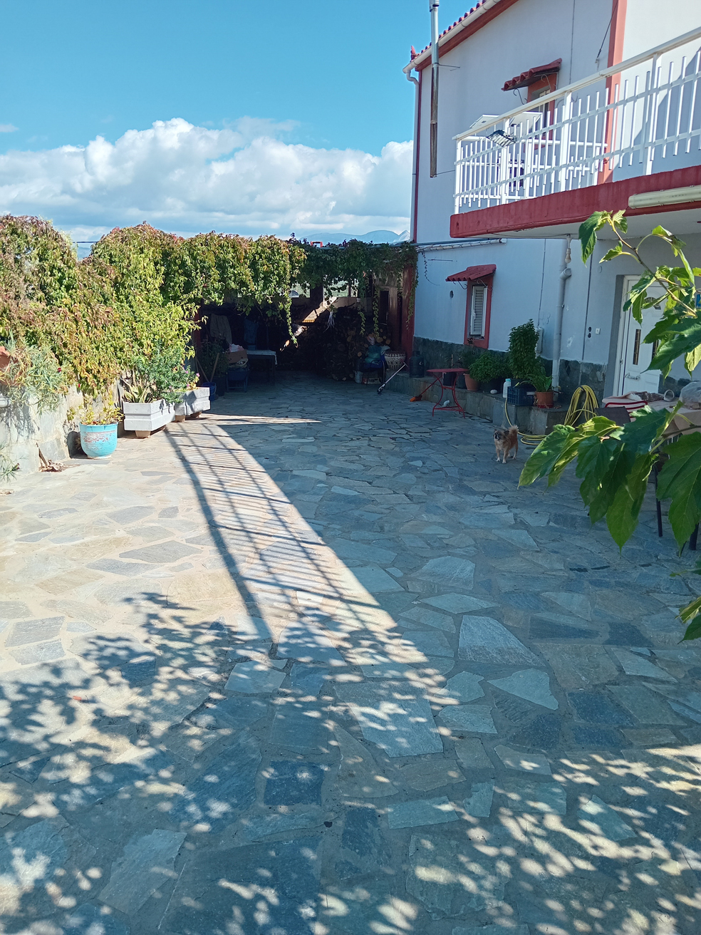 Οικόπεδο με κτίσμα  σε πλειστηριασμό Δήμος Σπάρτης