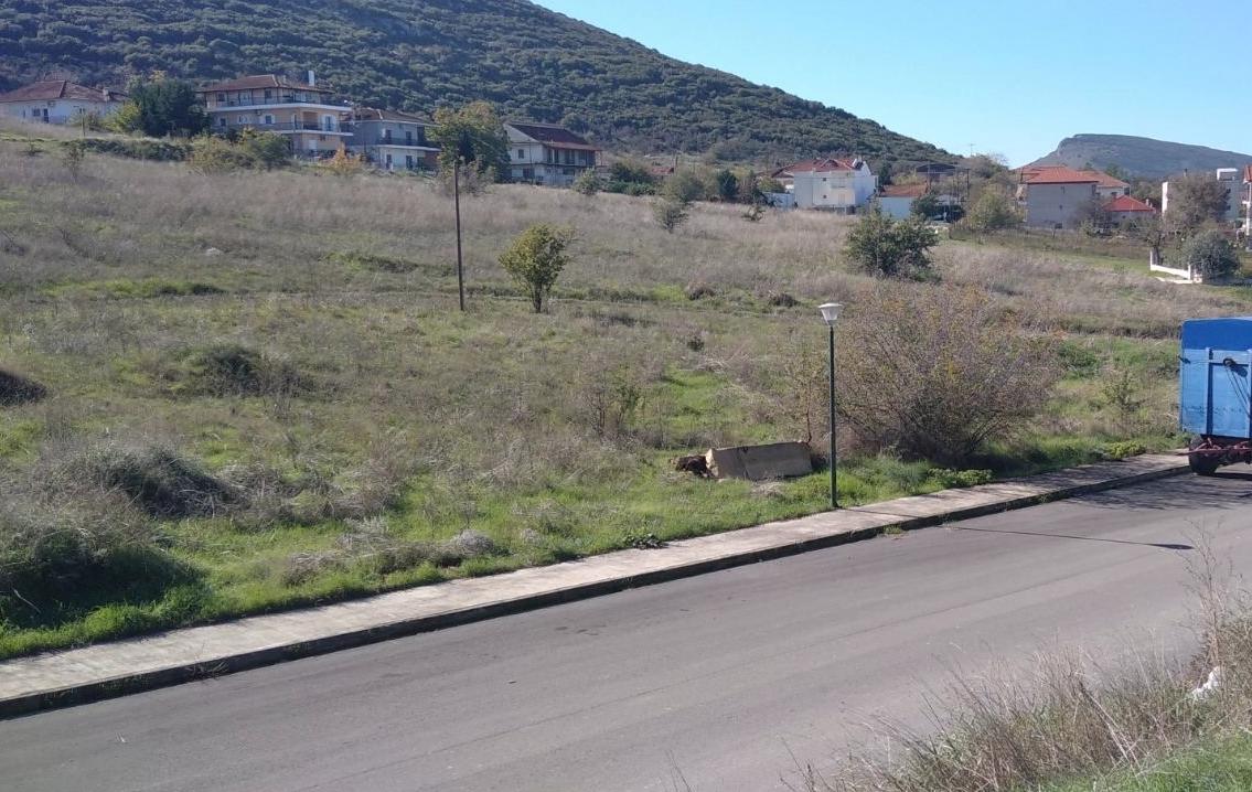 Οικόπεδο  σε πλειστηριασμό Δήμος Φαρσάλων