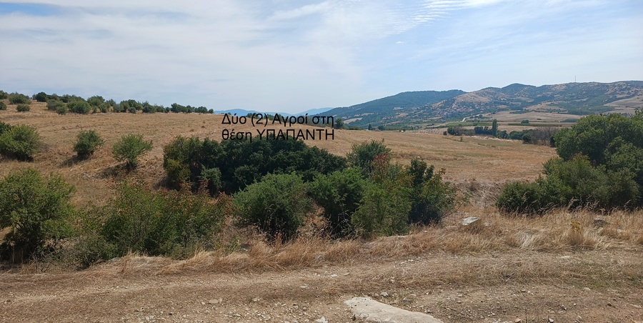 Αγροτεμάχιο 0 τ.μ. σε πλειστηριασμό Δήμος Ελασσόνας