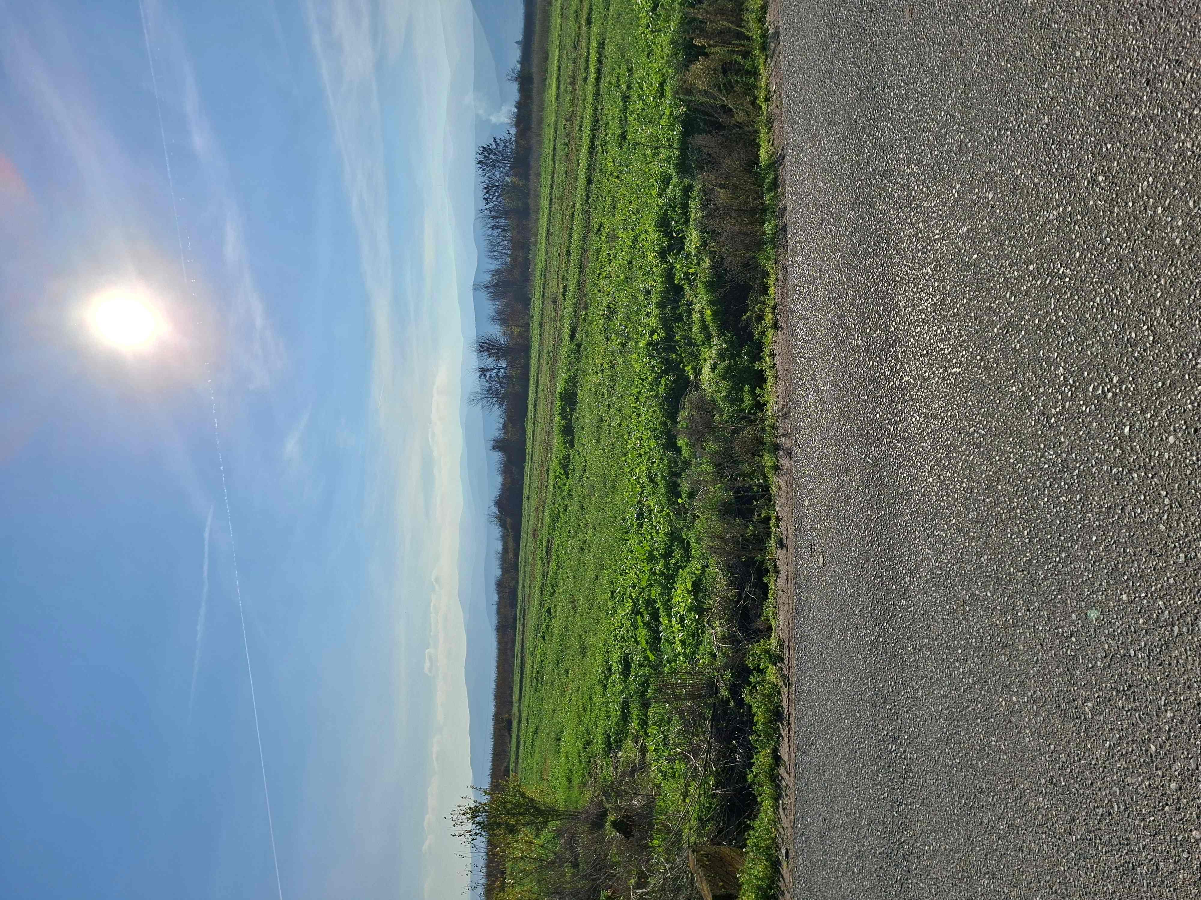 Αγροτεμάχιο 760 τ.μ. σε πλειστηριασμό Δήμος Ηρωικής Πόλεως Νάουσας