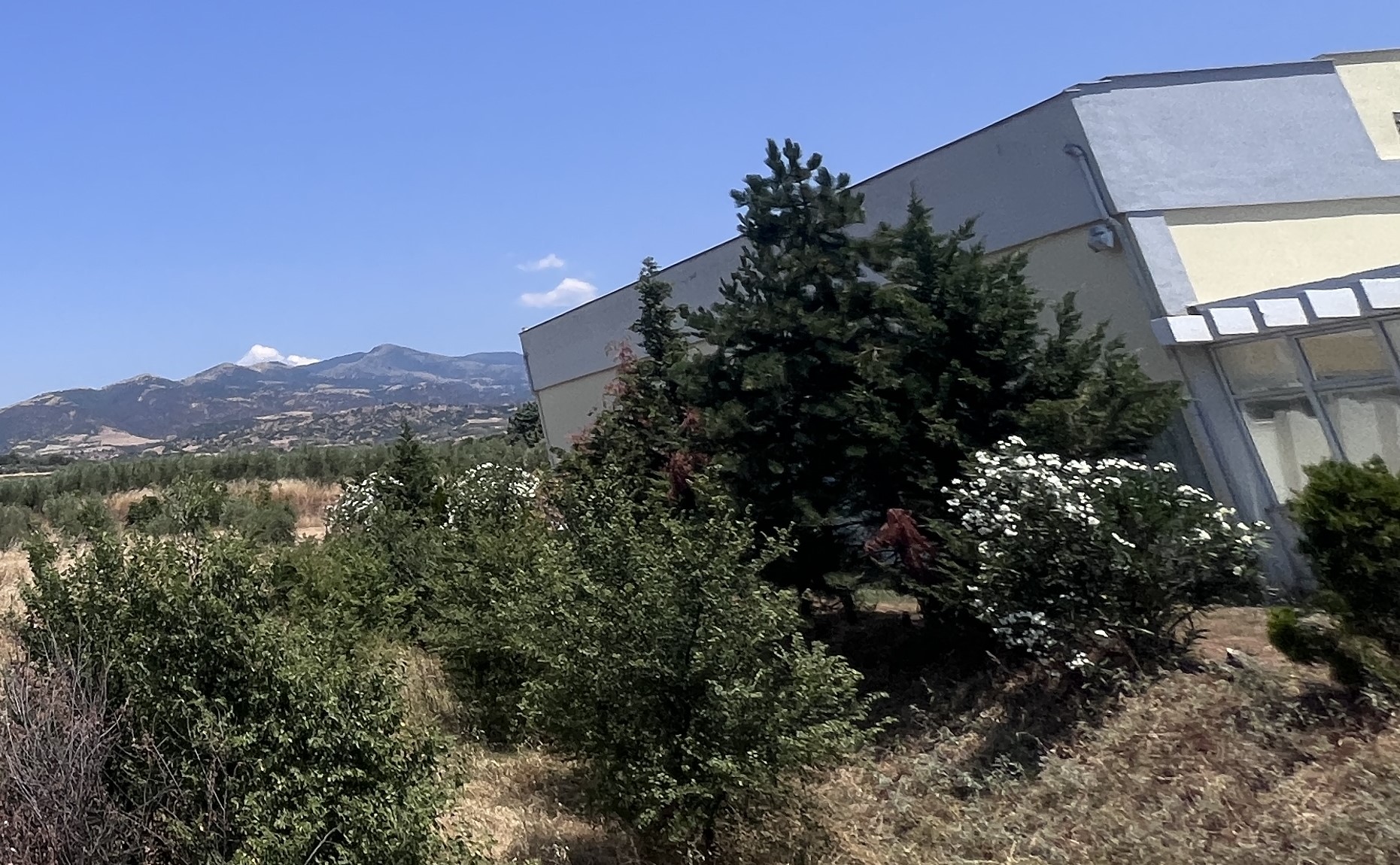 Αγροτεμάχιο  σε πλειστηριασμό Δήμος Ηρακλείας