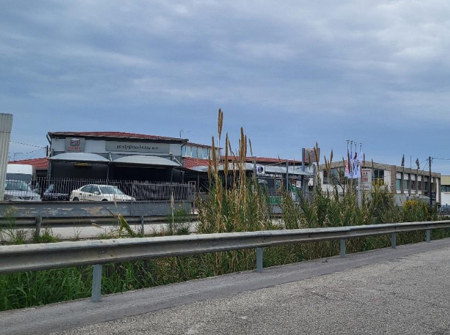 Άλλος Επαγγελματικός Χώρος  σε πλειστηριασμό Municipality of Patreon