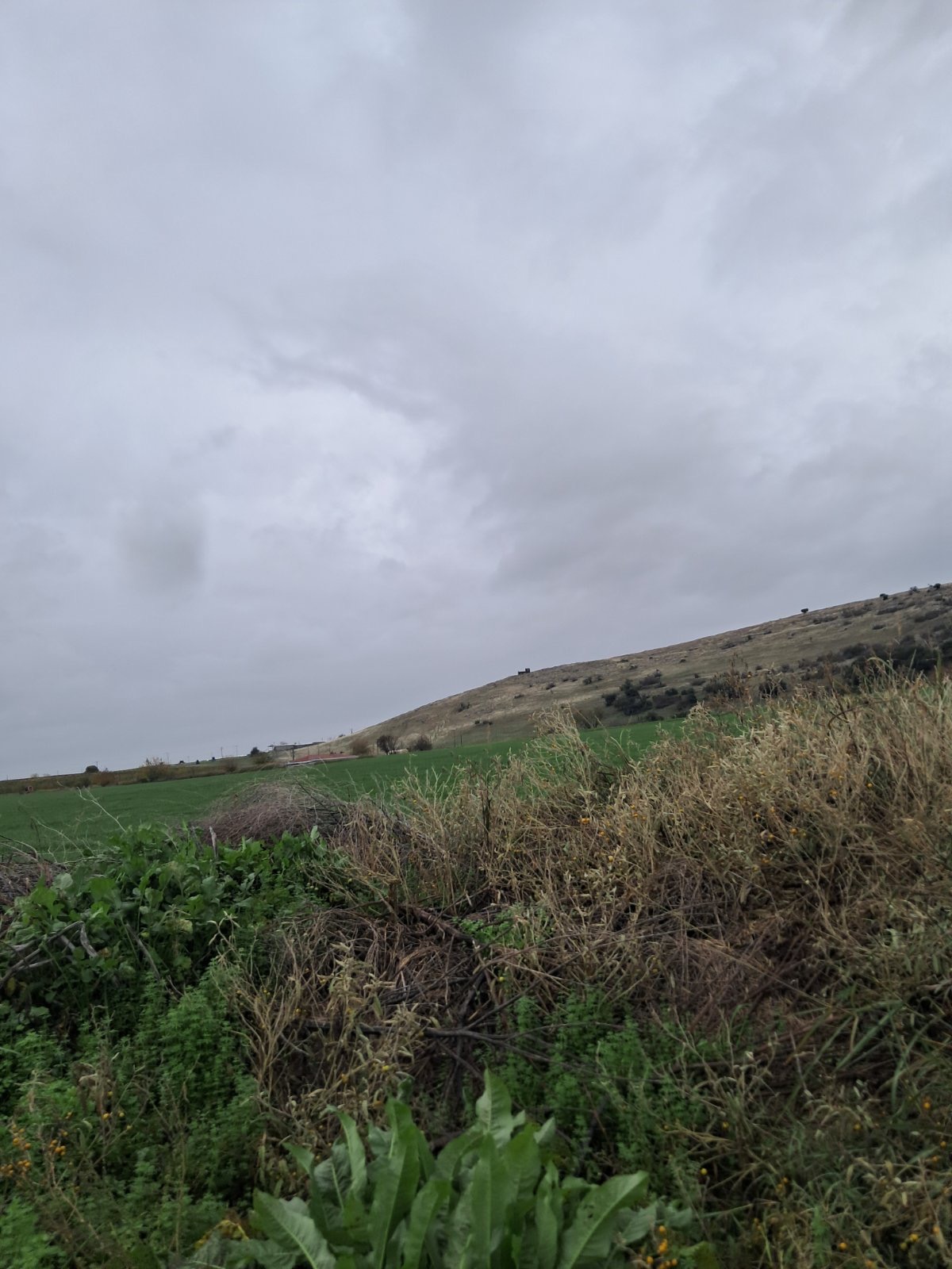 Αγροτεμάχιο 401 τ.μ. σε πλειστηριασμό Δήμος Τυρνάβου