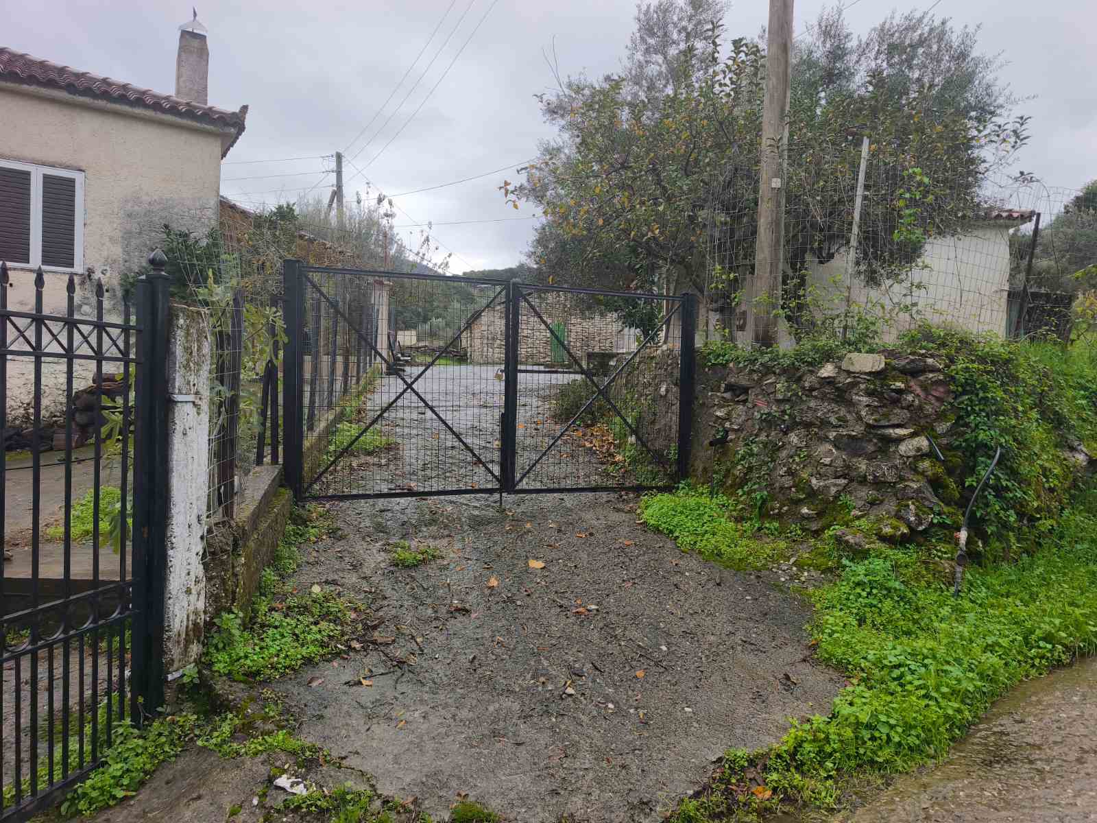 Οικόπεδο  σε πλειστηριασμό Δήμος Ανδρίτσαινας - Κρεστένων