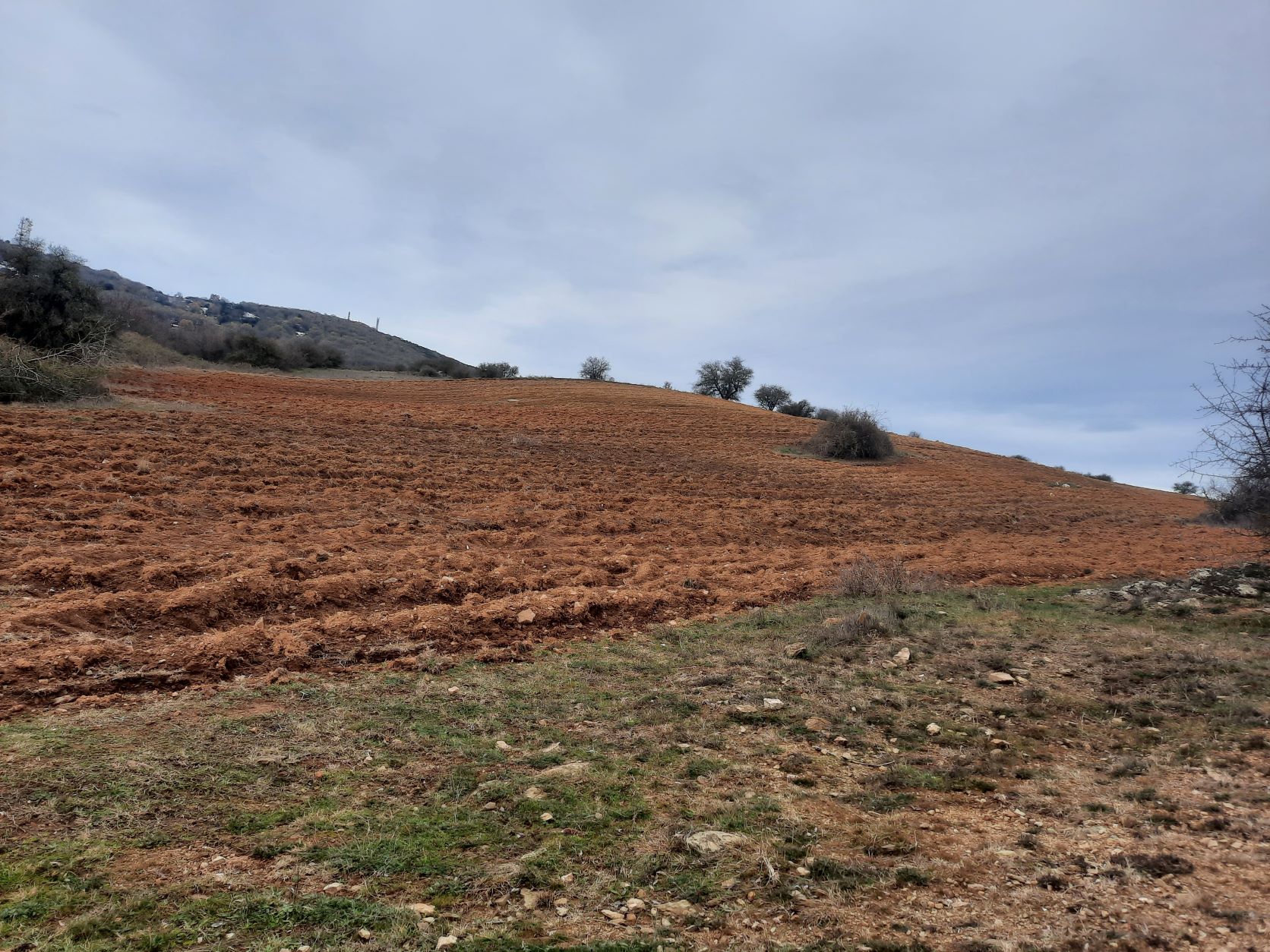 Αγροτεμάχιο  σε πλειστηριασμό Municipality of Pylaia - Hortiati