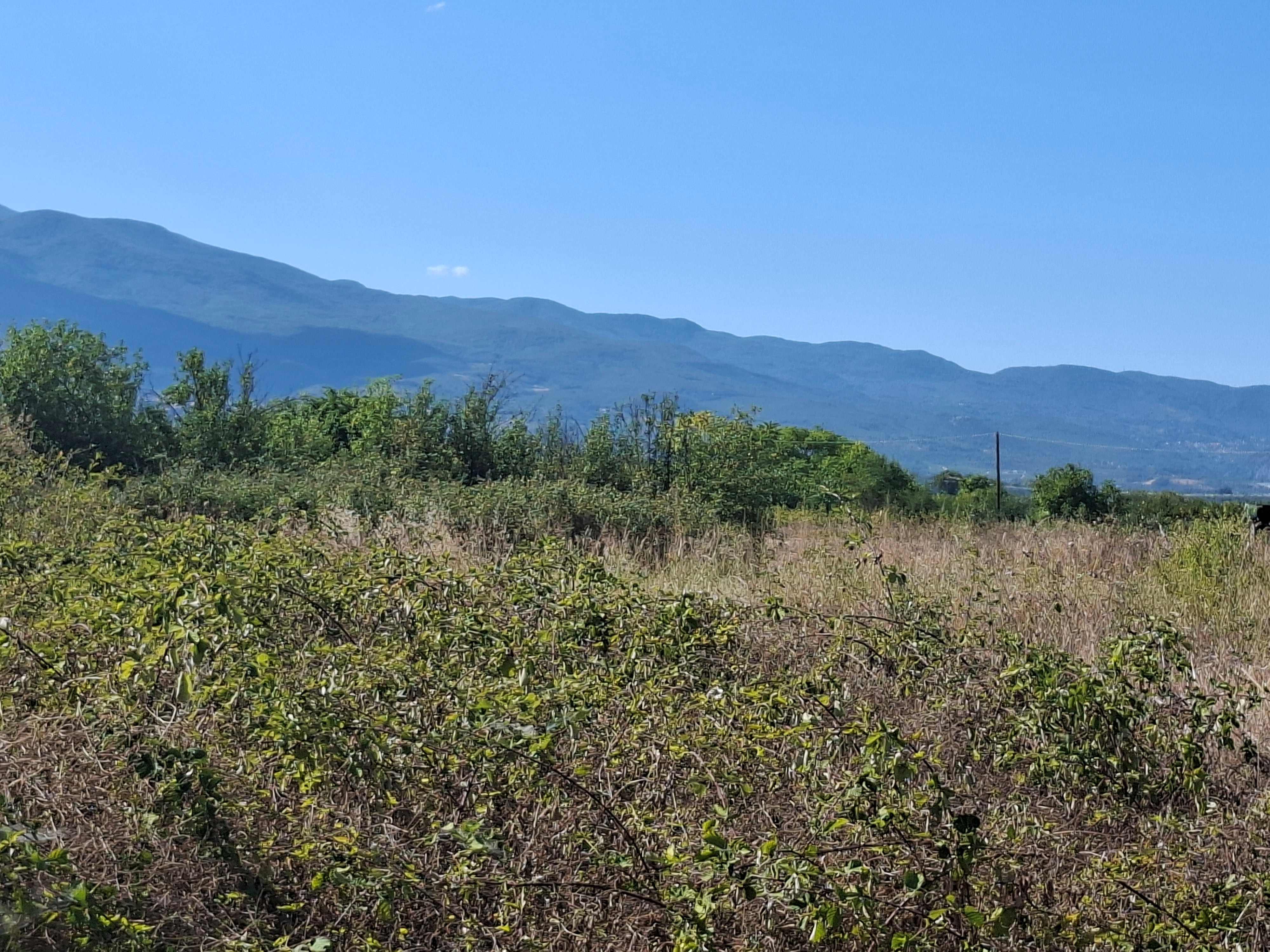 Οικόπεδο  σε πλειστηριασμό Δήμος Ηρωικής Πόλεως Νάουσας