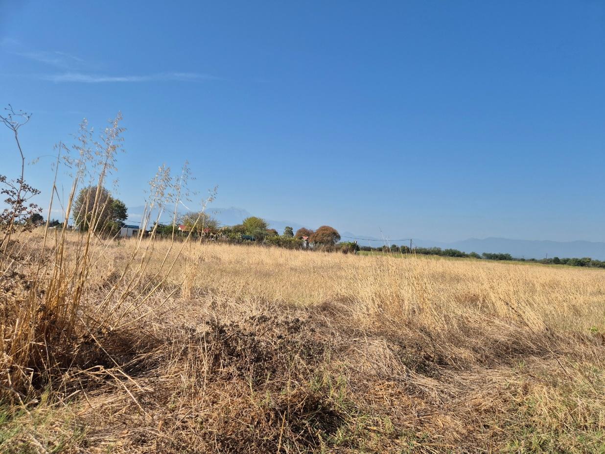 Αγροτεμάχιο  σε πλειστηριασμό Municipality of Katerini