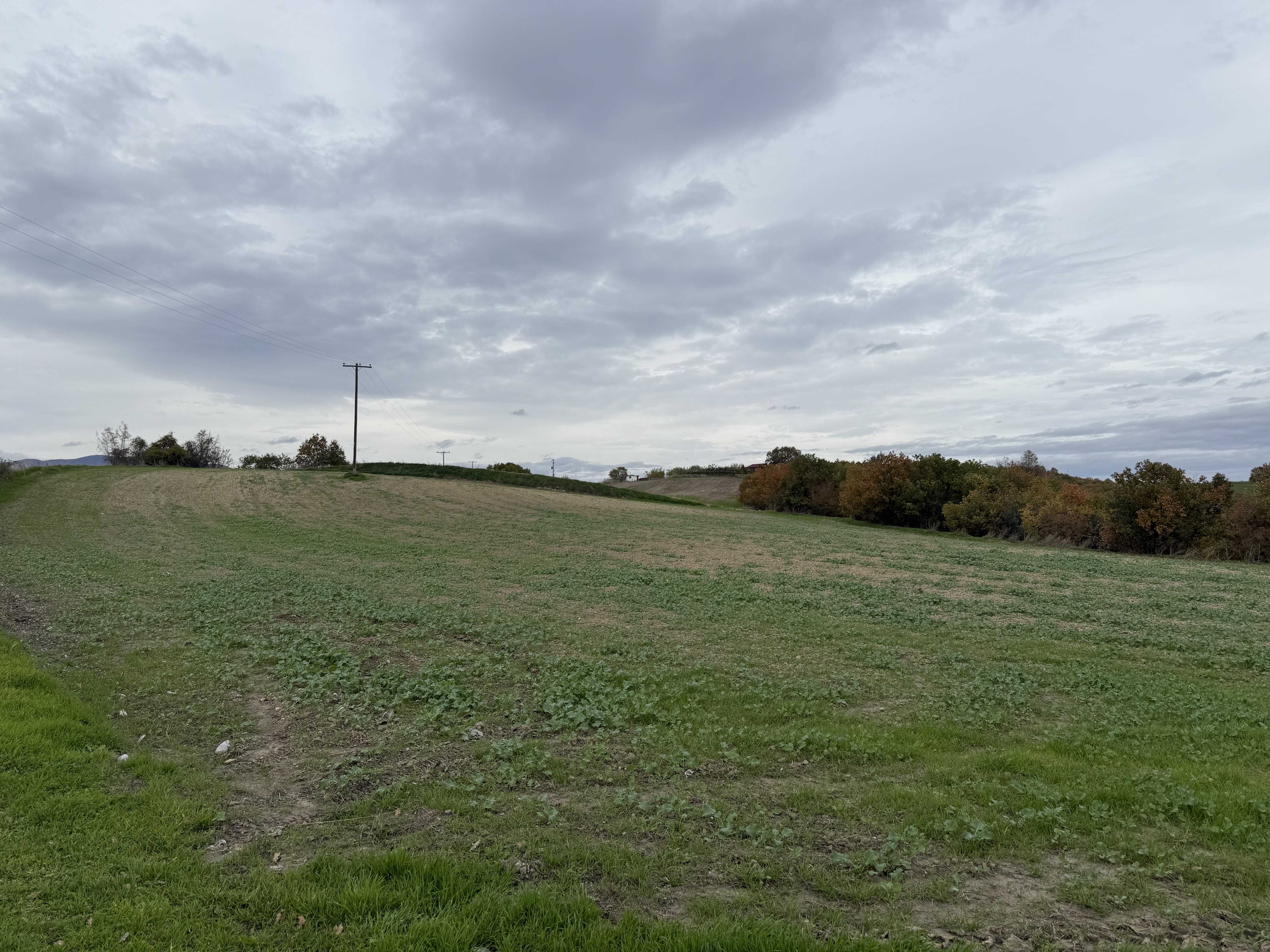 Αγροτεμάχιο  σε πλειστηριασμό Municipality of Katerini