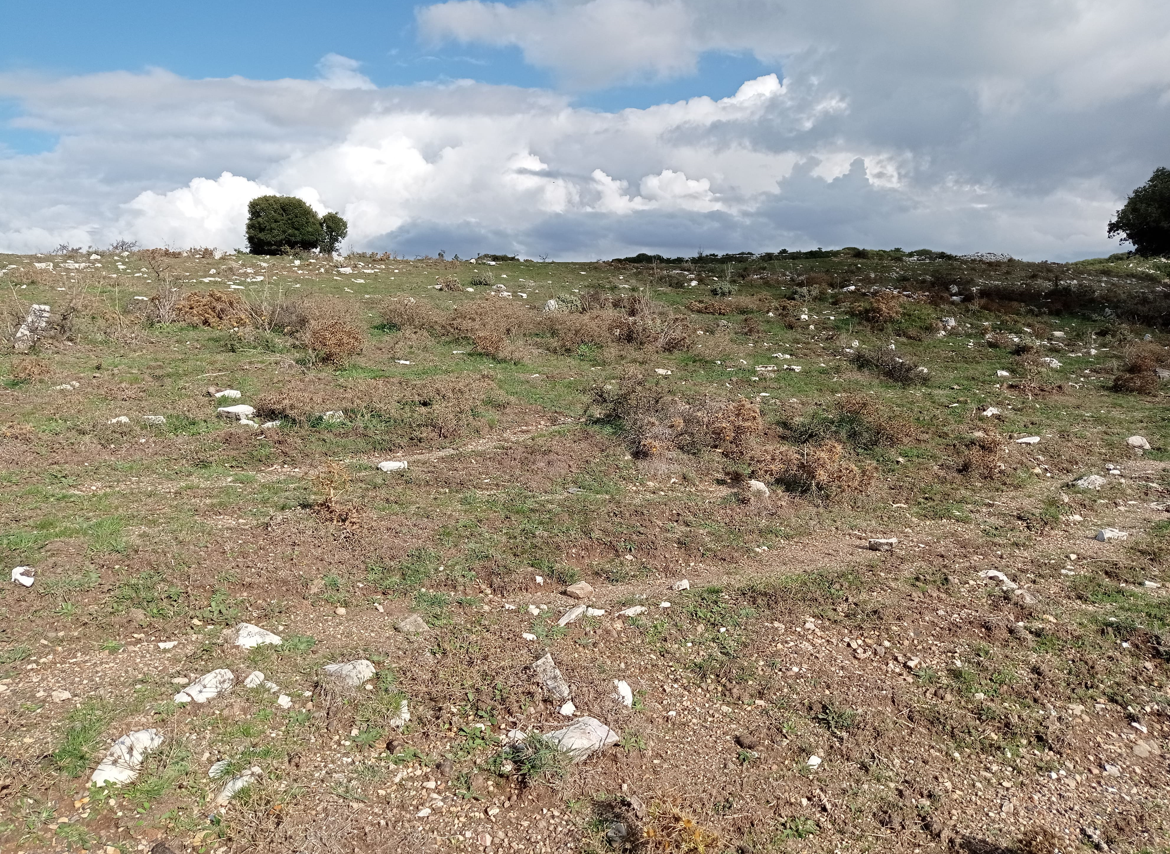 Αγροτεμάχιο 375 τ.μ. σε πλειστηριασμό Δήμος Ηγουμενίτσας