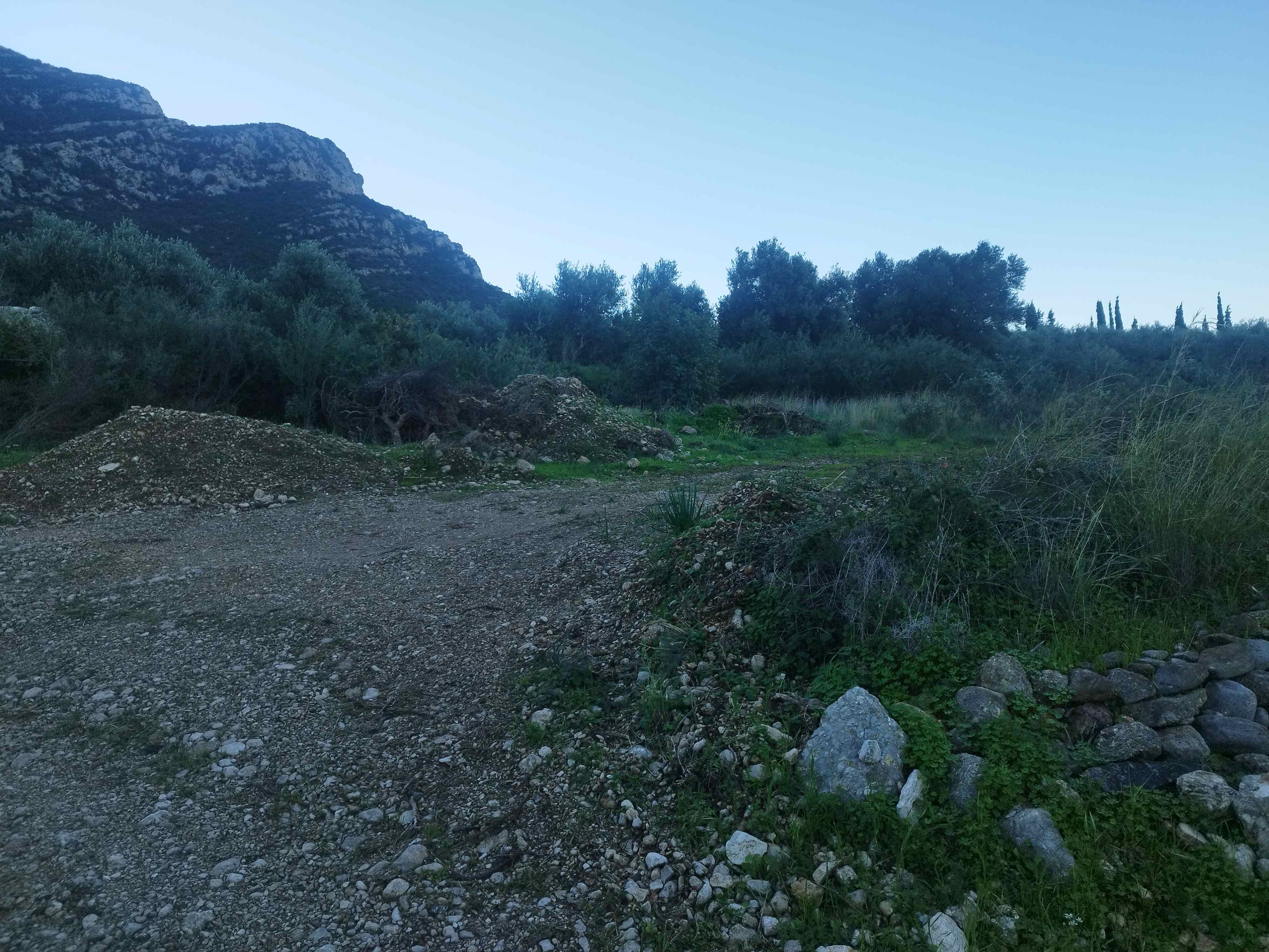 Οικόπεδο  σε πλειστηριασμό Δήμος Τριφυλίας