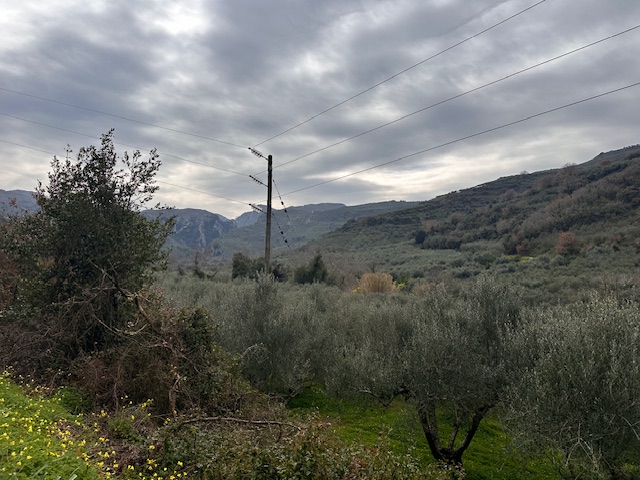 Αγροτεμάχιο  σε πλειστηριασμό Δήμος Πλατανιά  