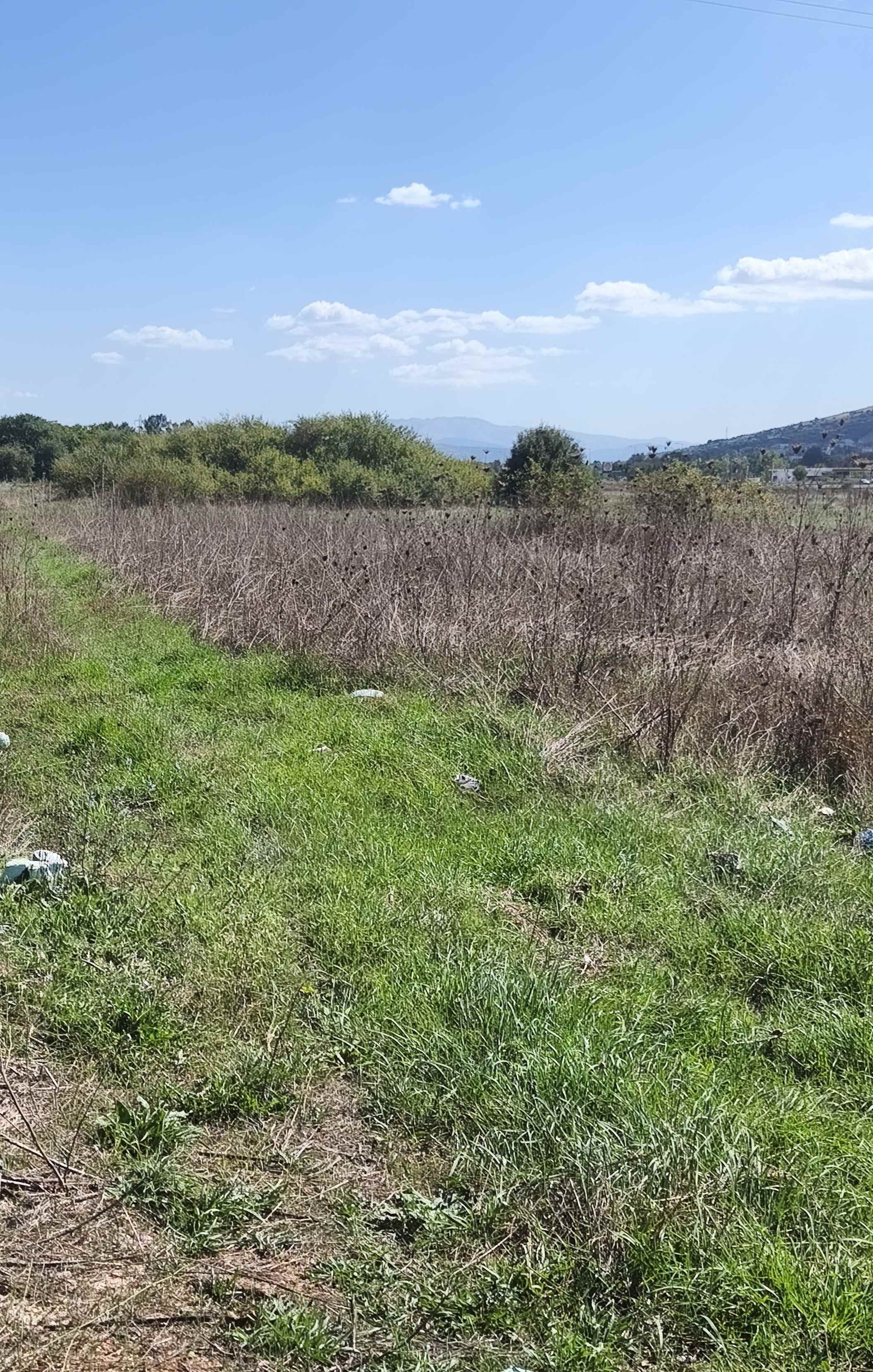 Οικόπεδο 187.71 τ.μ. σε πλειστηριασμό Δήμος Ιωαννιτών