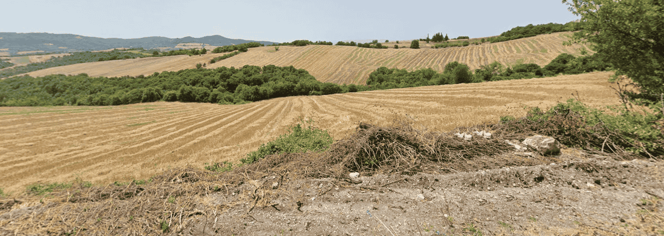 Αγροτεμάχιο  σε πλειστηριασμό Municipality of Pydna - Kolindros