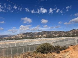 Αγροτεμάχιο  σε πλειστηριασμό Δήμος Ιεράπετρας