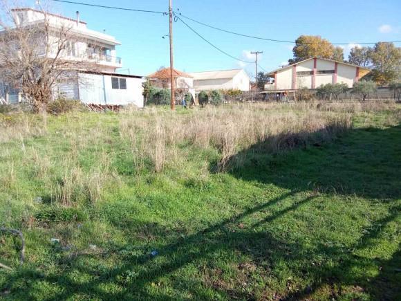 Οικόπεδο 1062.70 τ.μ. σε πλειστηριασμό Δήμος Μαρωνείας - Σαπών