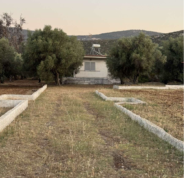Οικόπεδο με κτίσμα  σε πλειστηριασμό Δήμος Μάνδρας - Ειδυλλίας
