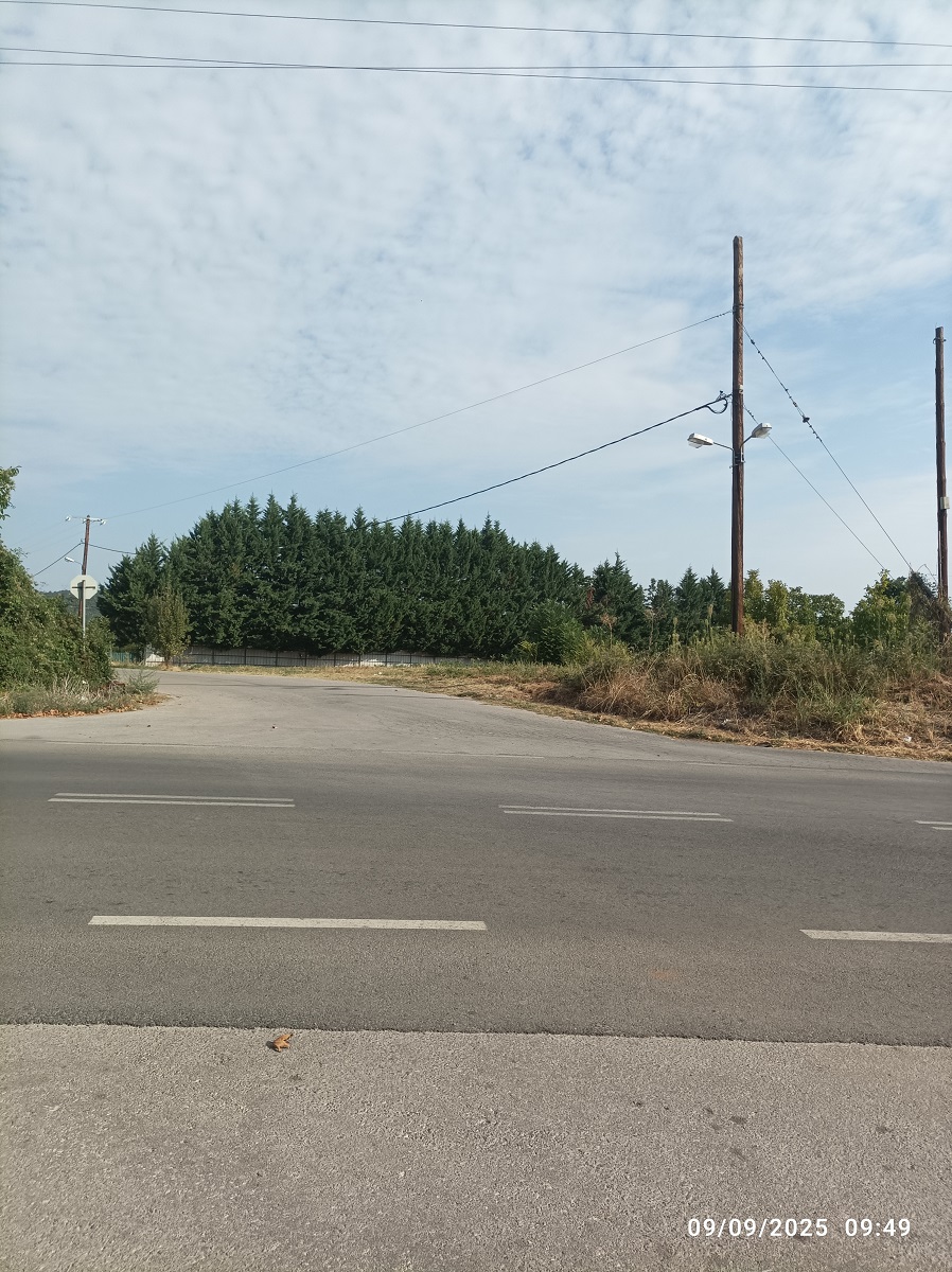 Αγροτεμάχιο 4212 τ.μ. σε πλειστηριασμό Δήμος Βέροιας