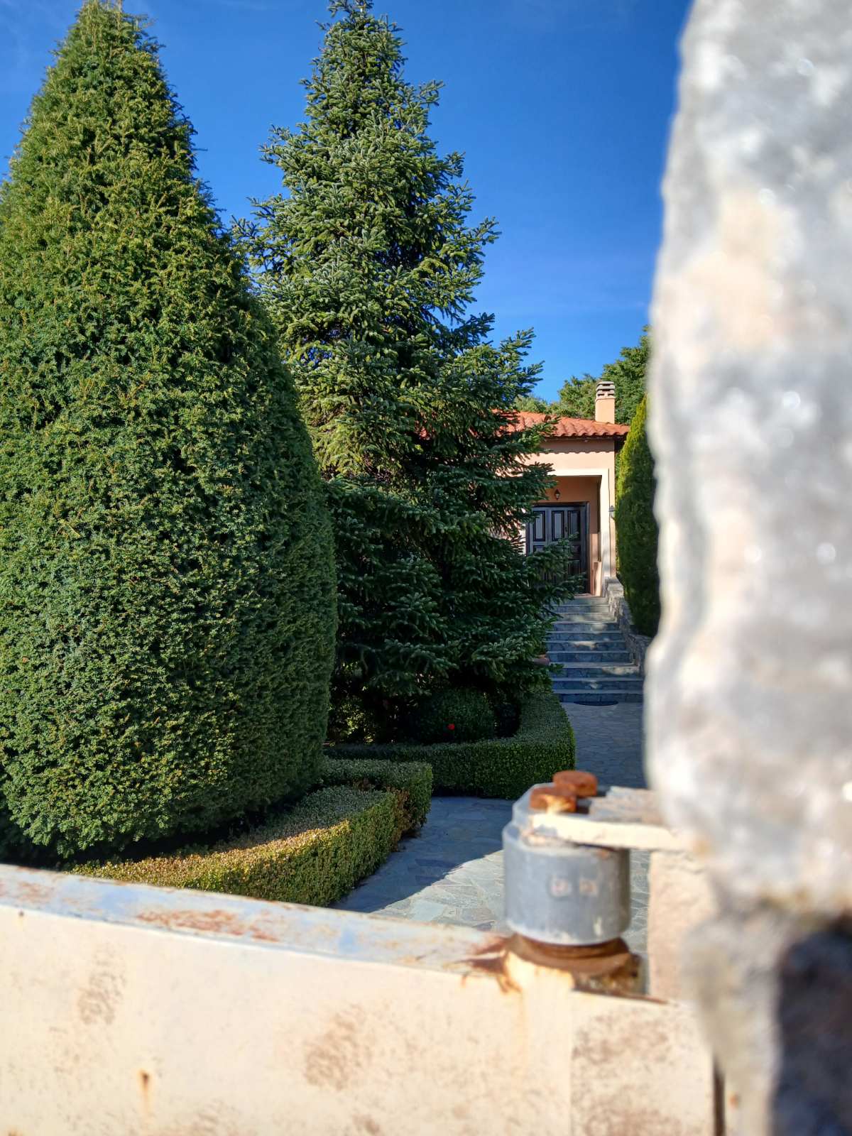 Αγροτεμάχιο με κτίσμα  σε πλειστηριασμό Δήμος Ωρωπού