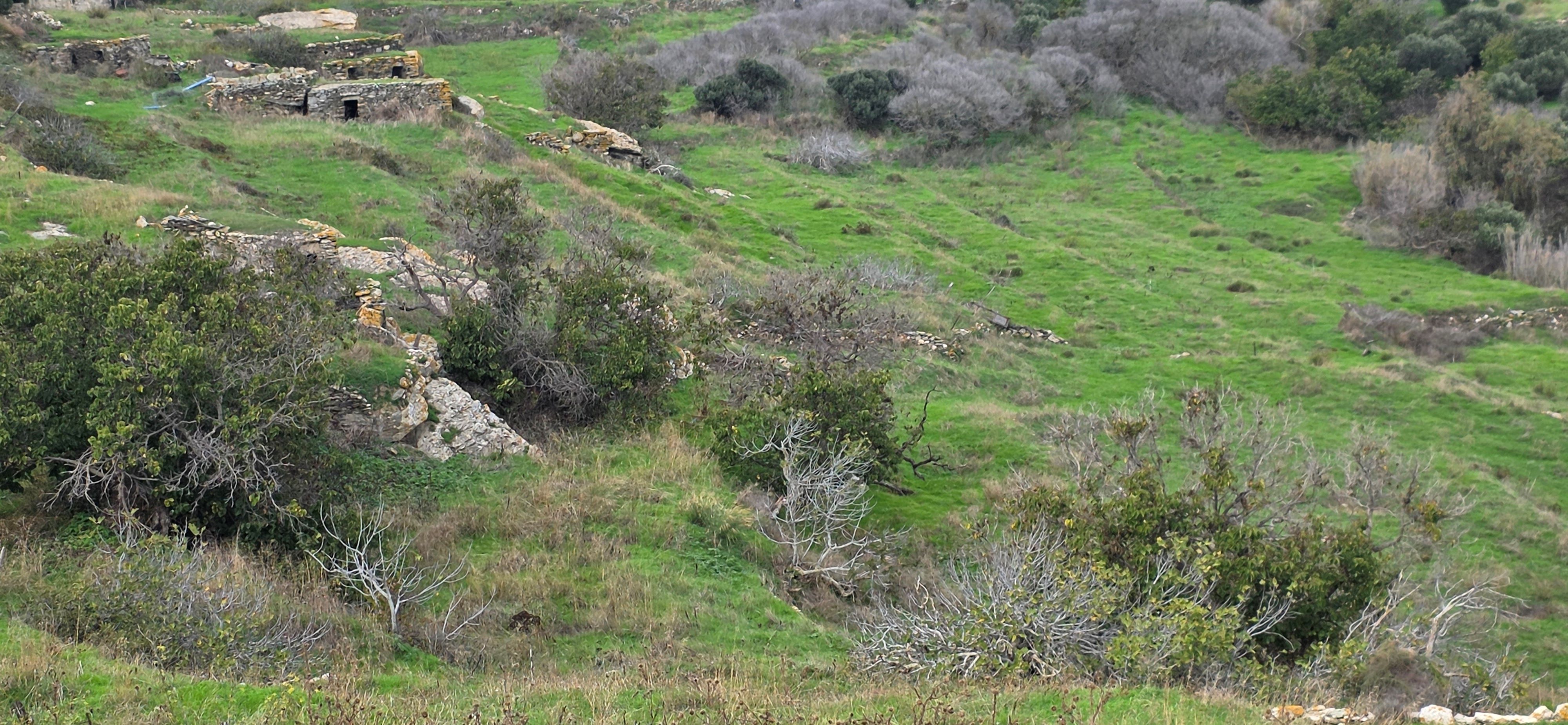 Αγροτεμάχιο  σε πλειστηριασμό Δήμος Τήνου