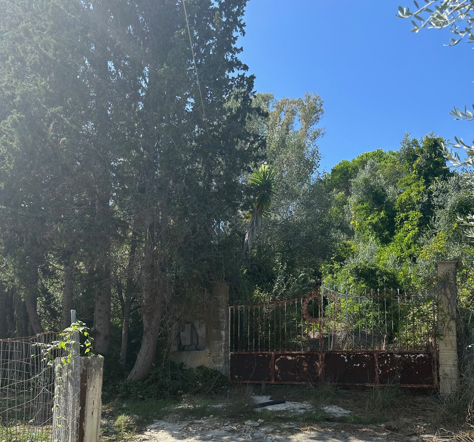 Αγροτεμάχιο με κτίσμα  σε πλειστηριασμό Δήμος Κέρκυρας