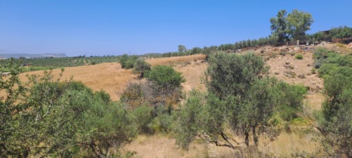 Αγροτεμάχιο  σε πλειστηριασμό Δήμος Μυλοποτάμου