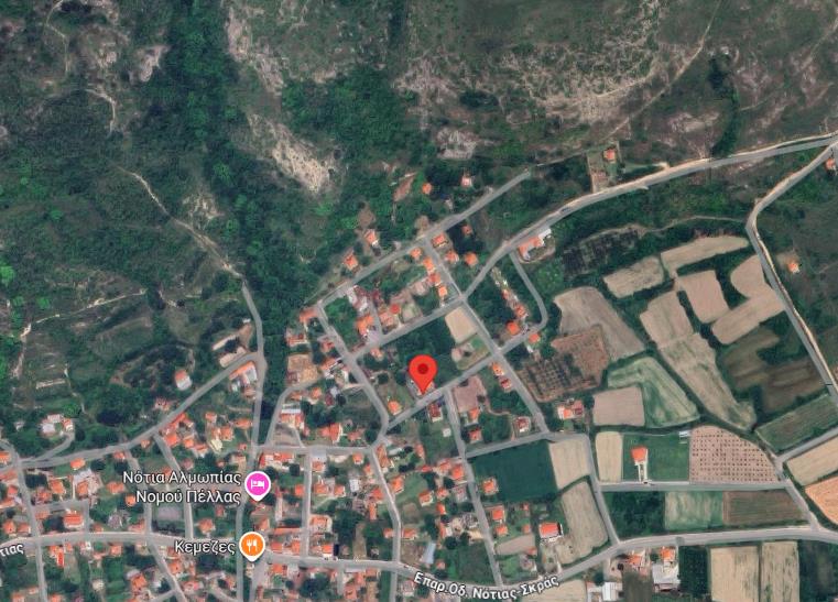 Οικόπεδο με κτίσμα  σε πλειστηριασμό Δήμος Αλμωπίας