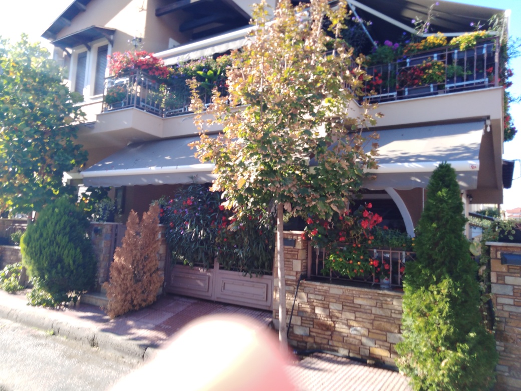 Κατοικία  σε πλειστηριασμό Δήμος Λαρισαίων